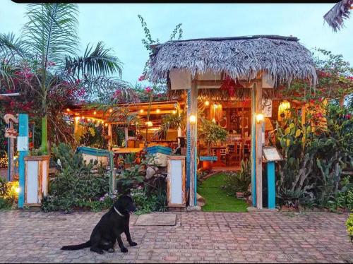 a black dog sitting in front of a store at Café Madame in Puerto López