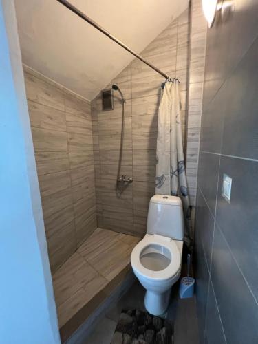 a small bathroom with a toilet and a shower at Jurgis Guest house in Kaunas