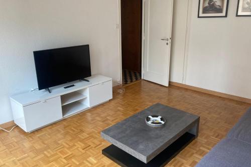 TV a/nebo společenská místnost v ubytování Maunoir Appartement à 5min du Lac