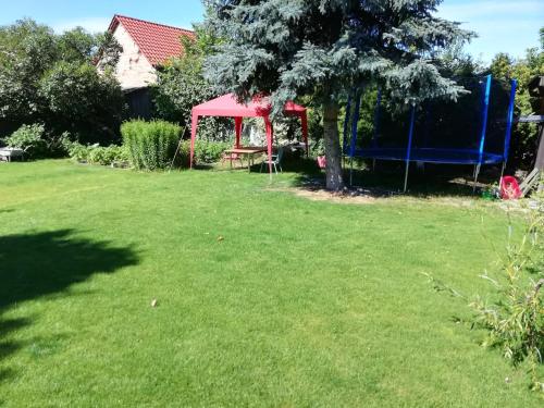 a yard with a picnic table and a red tent at Alte Försterei in Straupitz