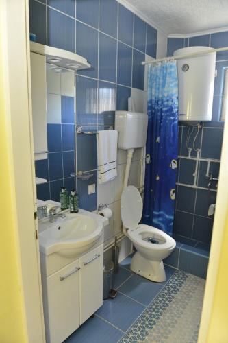 La salle de bains est pourvue de carrelage bleu, de toilettes et d'un lavabo. dans l'établissement Kuca za odmor Dragina, à Perućac