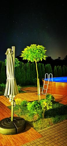 a statue of a tree next to a pool at Casa M in Lopatinec