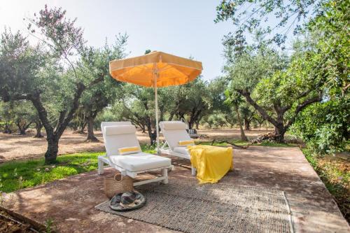 Κήπος έξω από το THIRES Guesthouse