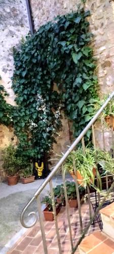 a group of potted plants on the side of a building at Antico Borgo di Torri in Sovicille