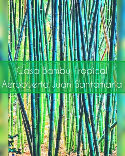 a group of bamboo trees with the words cisco bandud tropical acropora at Casa Bambú Tropical in Alajuela