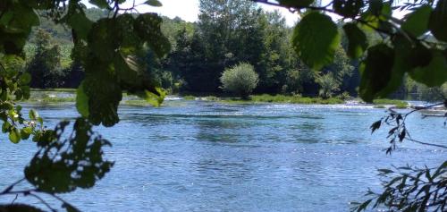 uma vista para um rio com árvores ao fundo em Kuća za odmor Una em Dvor