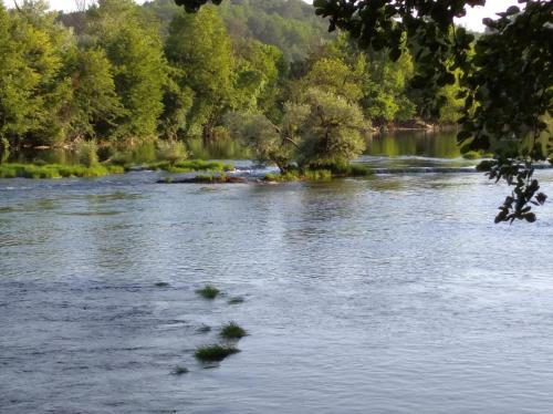 un fiume con alberi e erba in acqua di Kuća za odmor Una a Dvor