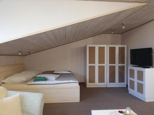 a bedroom with a bed and a tv in a room at Penzión u Coľa in Prievidza