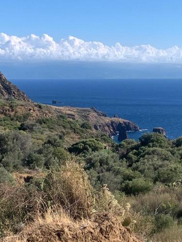 a view of the ocean from a hill with trees at La casa blu superior in Lipari