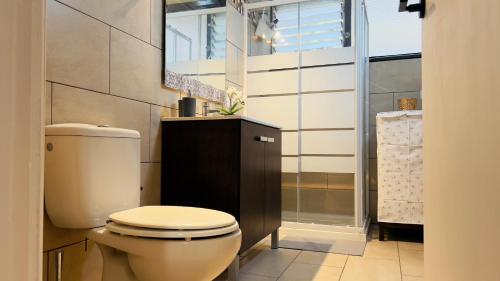 bagno con servizi igienici, lavandino e specchio di Apartamento La Playa a Icod de los Vinos