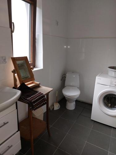 a bathroom with a toilet and a washing machine at Agroturystyka LipoweWzgórze domek Antek in Tereszpol