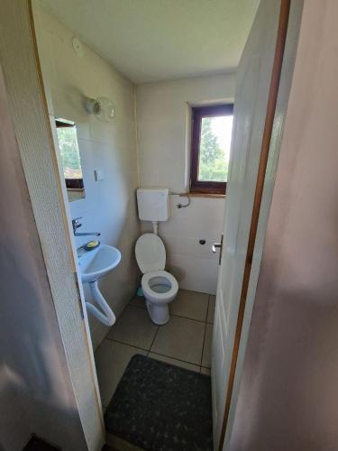 a small bathroom with a toilet and a sink at Gajica konak-Orasac in Arandelovac