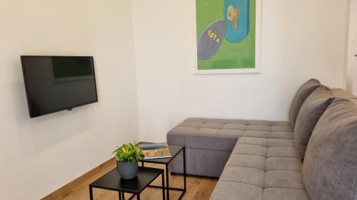Μια τηλεόραση ή/και κέντρο ψυχαγωγίας στο Apartment Noel Cavtat 1
