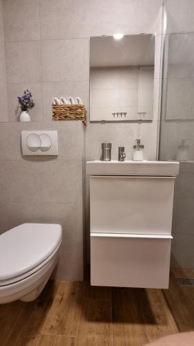 Ένα μπάνιο στο Apartment Noel Cavtat 1