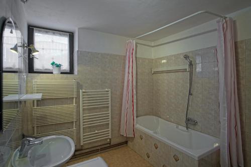 a bathroom with a sink and a tub and a shower at The Village Rest - Brezje Gorenjska in Brezje