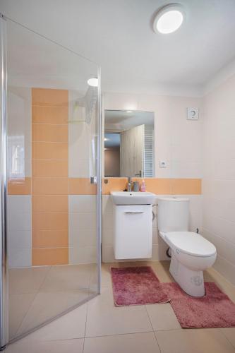 a bathroom with a toilet and a shower and a sink at Apartmán pod čerešňou in Banská Štiavnica