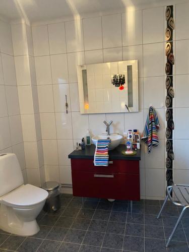 bagno con servizi igienici e lavandino di Anita a Kristianstad