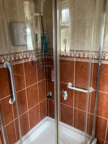 La salle de bains est pourvue d'une douche avec une porte en verre. dans l'établissement Deeleview apartment, à Lifford