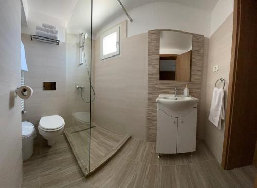 a bathroom with a toilet and a sink and a shower at Pensiunea Dunarea in Moldova Nouă