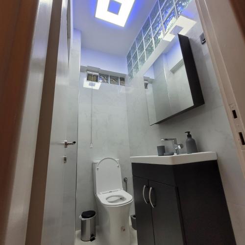 łazienka z toaletą, umywalką i oknem dachowym w obiekcie SOFICOS Sea View Apartment w mieście Nafpaktos