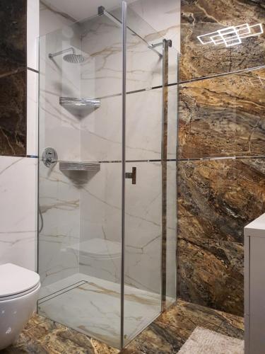 a shower with a glass door in a bathroom at Apartamenty Ski & Fun Spokojna in Wisła