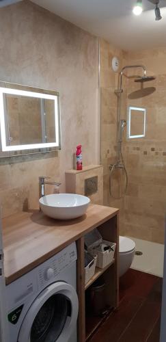 une salle de bain avec un lavabo et une machine à laver dans l'établissement Grand studio climatisé proche plages Juan les pins, à Antibes