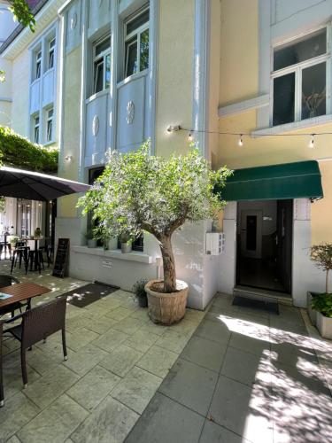 a patio with a tree in a pot next to a building at AUERSTEIN-Hotels auerstein & auerstein-mono in Heidelberg