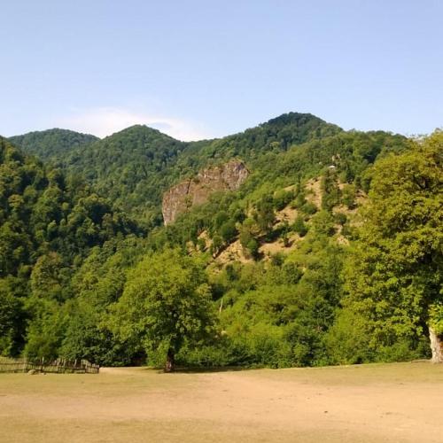 a large field with trees in front of a mountain at Sim Guesthouse in Sım