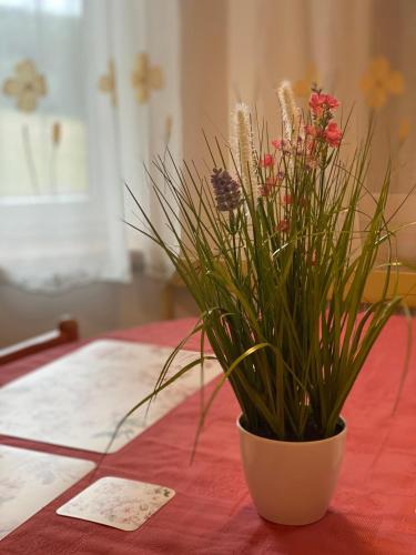 a vase filled with flowers sitting on a table at Alba Apartmany Železná Ruda in Železná Ruda