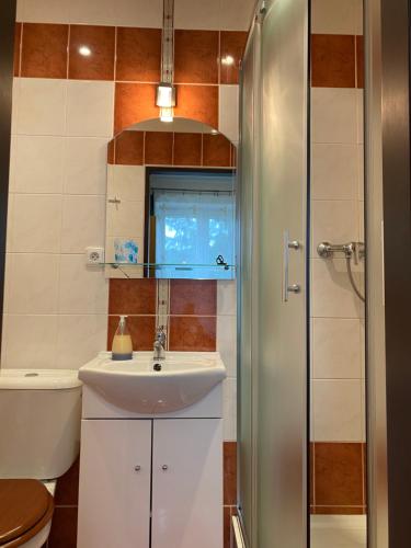 Koupelna v ubytování Alba Apartmany Železná Ruda