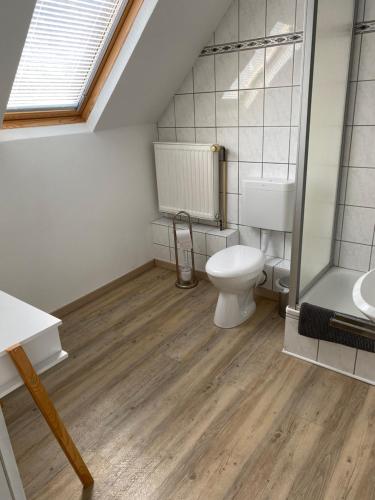 a bathroom with a toilet and a shower at Ferienwohnungen Fuhrmann-Burg in Ellenz-Poltersdorf