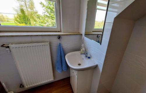a bathroom with a sink and a mirror and a window at Agroturystyka Pokoje U Sołtysa in Goniadz
