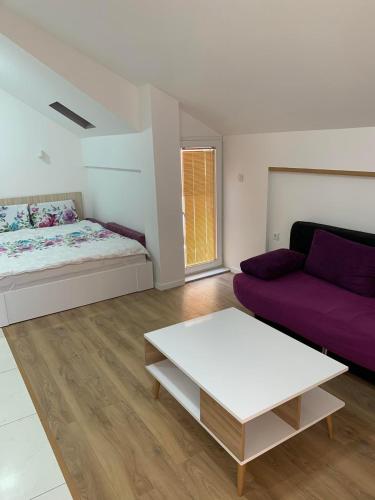 a living room with a bed and a couch at Stojanoski Studios & Rooms in Trpejca