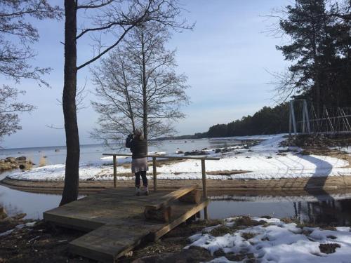 a person standing on a dock near a body of water at Altja Villa-Cottage with sauna in Altja