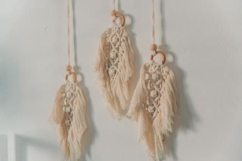 a group of dried feathers hanging on a wall at FKK Ada Bojana in Ulcinj