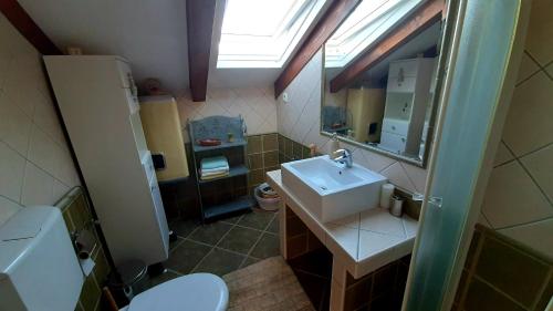 a bathroom with a sink and a toilet and a mirror at Viktorija Apartments in Seget Vranjica