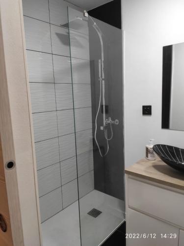 a shower with a glass door in a bathroom at Winnie's Homestay in Las Palmas de Gran Canaria