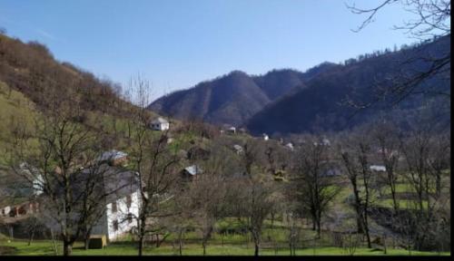 a view of a mountain with trees and houses at Sim Guesthouse in Sım