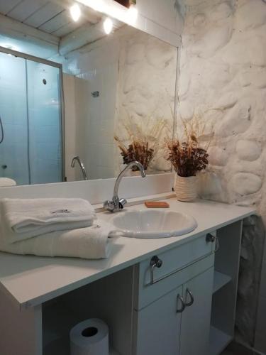 a bathroom with a sink and a mirror at cabaña azul in Trevelín