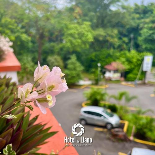 a pink flower on a balcony with a car in a parking lot at Hotel del Llano in Villavicencio