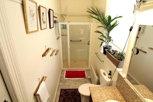 a bathroom with a shower and a toilet with a red rug at The F Project Residence - whole house in Warrnambool