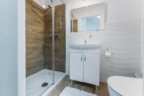 a bathroom with a shower and a sink and a toilet at Dolina Dunajca in Tylmanowa