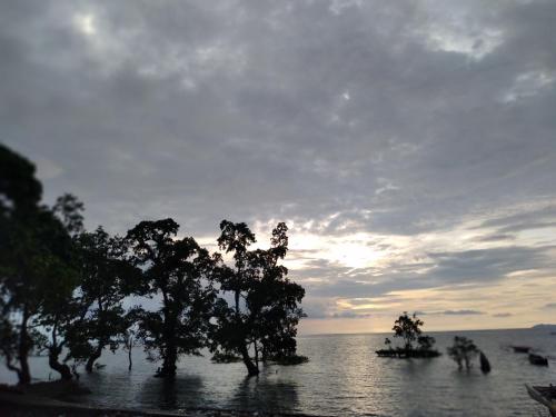 Mangrove park desa palaes – Photos 3