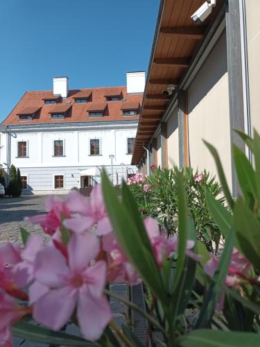 a bunch of pink flowers in front of a building at Gizella Hotel and Restaurant in Veszprém