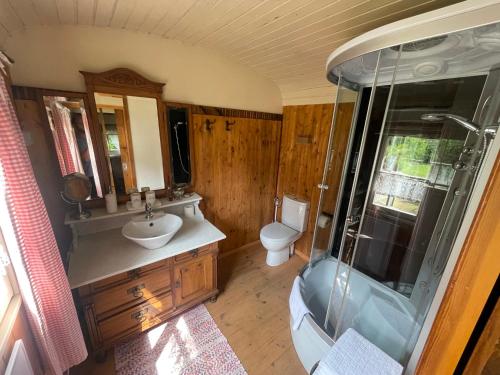 a bathroom with a toilet and a sink and a shower at Zirkuswagen am Landhaus Labes (Stechlinsee) in Neuglobsow