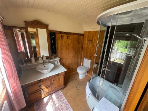 y baño con aseo, lavabo y ducha. en Zirkuswagen am Landhaus Labes (Stechlinsee) en Neuglobsow