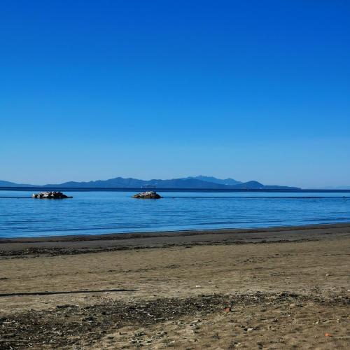 Natuurlandschap vlak bij het vakantiehuis