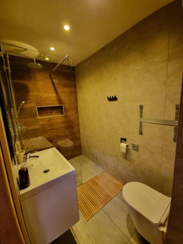 a bathroom with a white toilet and a sink at Domek Anna Zawóz in Zawóz