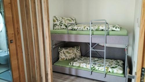 a group of bunk beds in a room at Agritur La Fenice in Brez