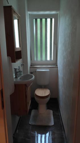 a bathroom with a toilet and a sink and a window at Brilliant Home Messe in Nuremberg